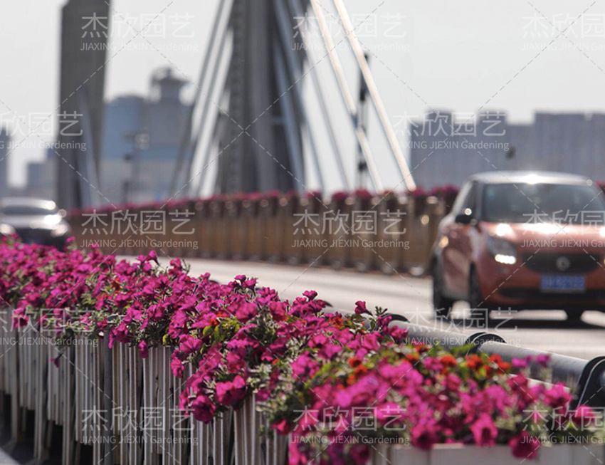 鋁合金創(chuàng)意花箱有哪些款式？